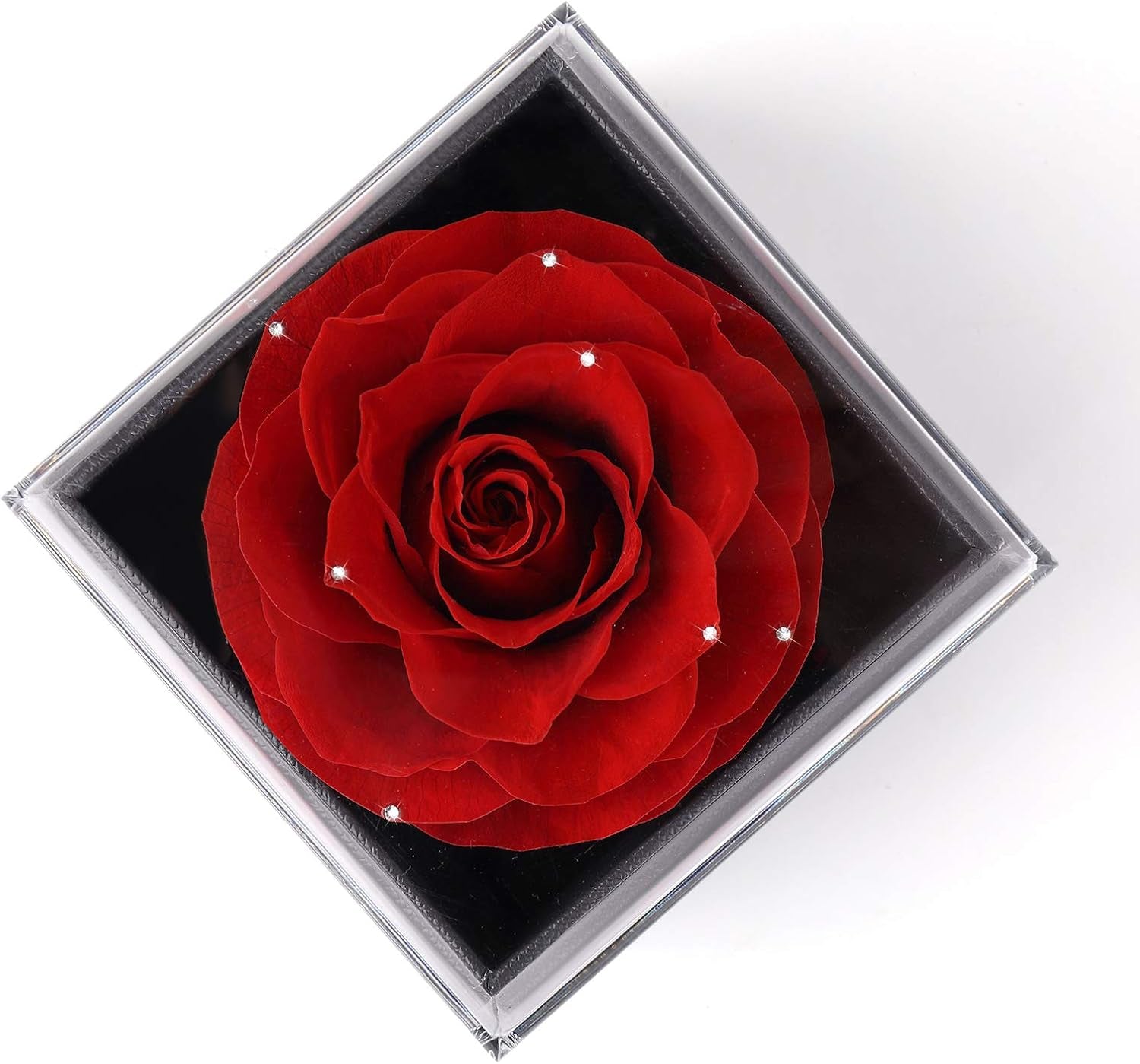 Mothers Day Flower Gifts for Her, Preserved Real Flower Rose with Silver-Tone Heart Necklace I Love You in 100 Languages Gift Set, Enchanted Flower Rose Gifts, Red Crystal