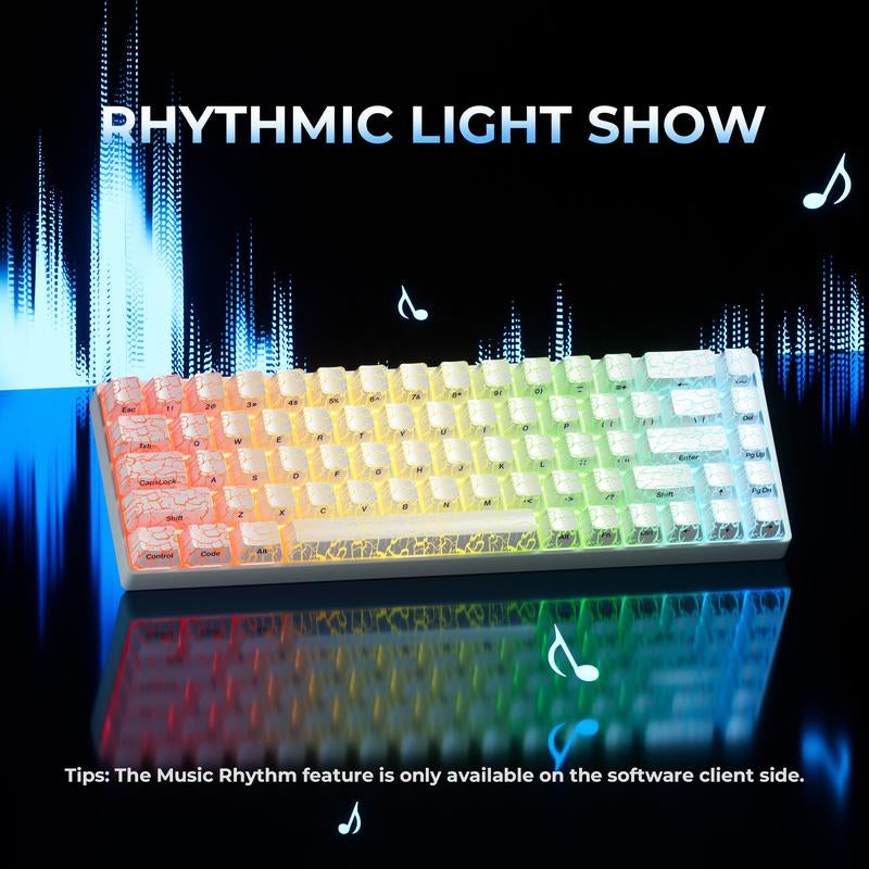 XVX HE68 Gateron EF Magnetic Pro Swtichs Rapid Trigger Gaming Hall Effect 68% Wired Mechanical Keyboard with Imd-Tech Keycaps, Gaming Accessories,Gaming Keyboard