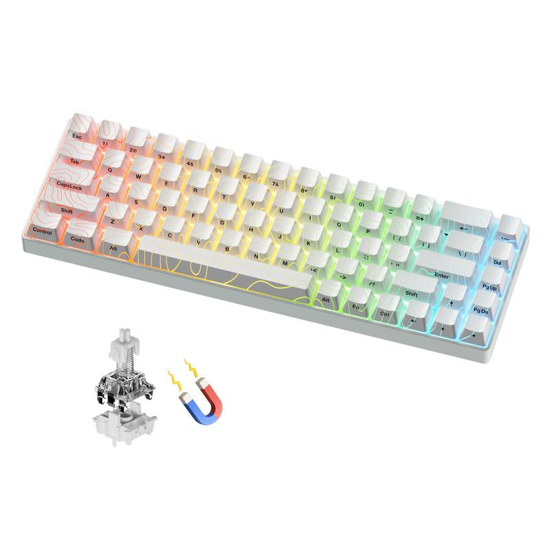 XVX HE68 Gateron EF Magnetic Pro Swtichs Rapid Trigger Gaming Hall Effect 68% Wired Mechanical Keyboard with Imd-Tech Keycaps, Gaming Accessories,Gaming Keyboard