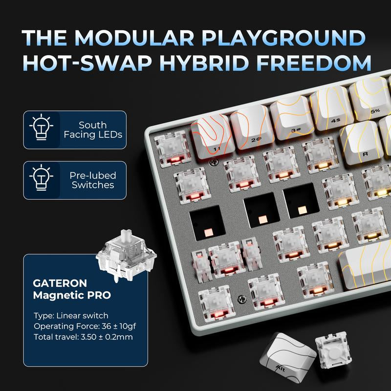 XVX HE68 Gateron EF Magnetic Pro Swtichs Rapid Trigger Gaming Hall Effect 68% Wired Mechanical Keyboard with Imd-Tech Keycaps, Gaming Accessories,Gaming Keyboard